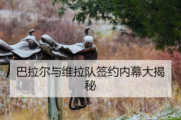 巴拉尔与维拉队签约内幕大揭秘