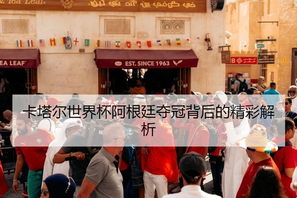 卡塔尔世界杯阿根廷夺冠背后的精彩解析